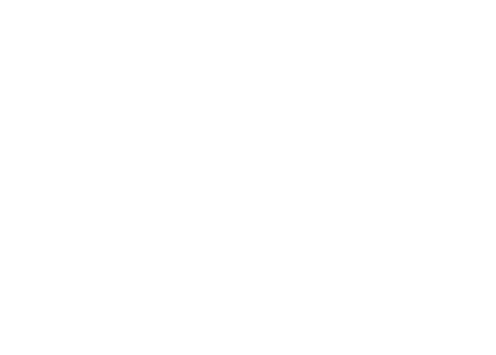 BR Bronze